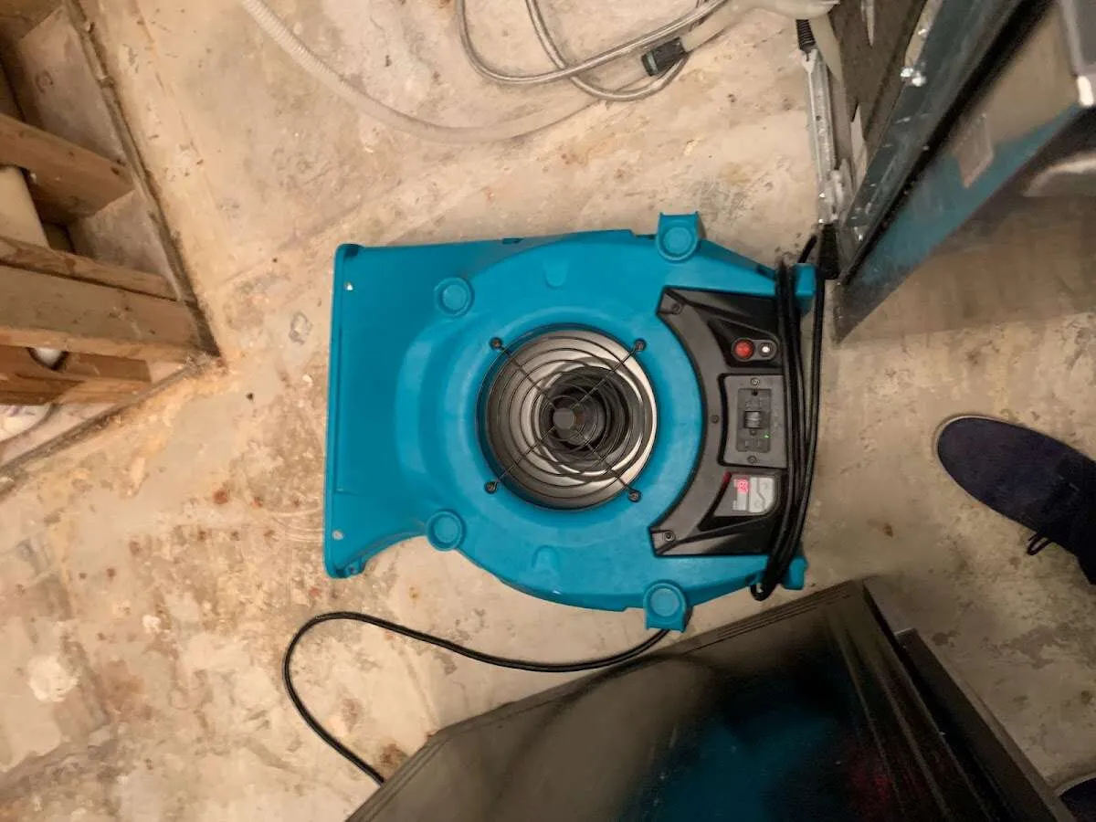 Air mover drying equipment for Mold Remediation & Removal in Columbus